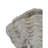 Coastal Clam Shell Planter W Coral Accents, Weathered Gray Terracotta