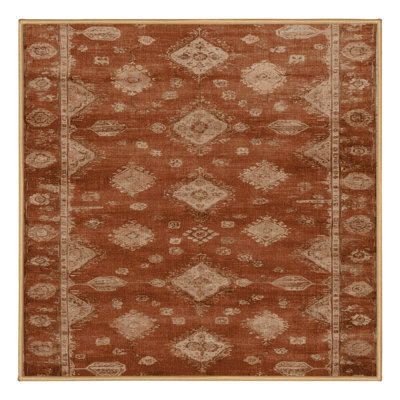 Machine Washable Overdyed Brown Area Rug