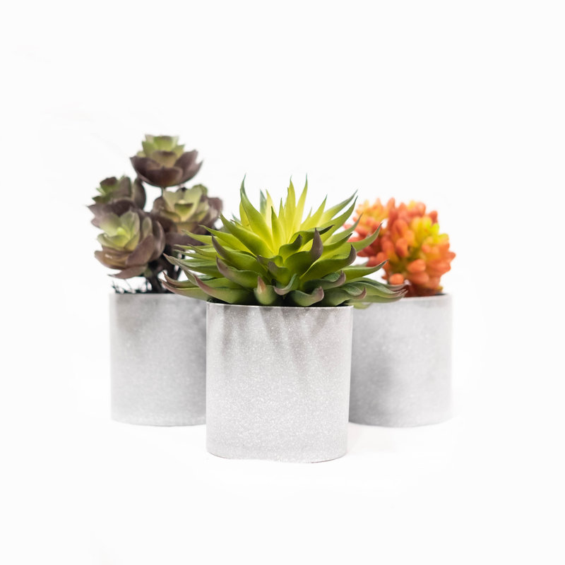 Ensemble de 3 cactus artificielles succulent dans un pot
