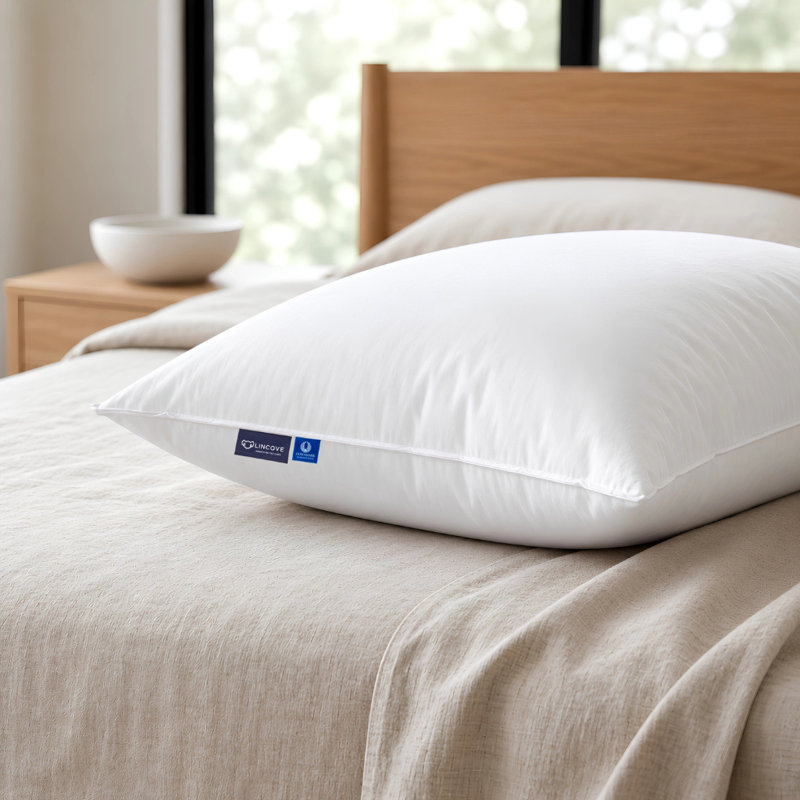 Oreiller de luxe luxueux 100% duvet en duvet Signature Signature Lincoln Lincoln, Grand lit
