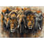Primal Abstraction