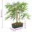 Faux Bamboo Tree in Pot-113470517