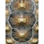 Carapaced Motif VI Print by Austin Beiv-26925528-26925529