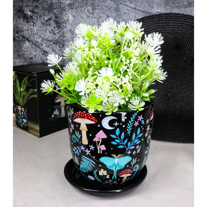 Ensemble de pots à fleurs en céramique Wiccraft