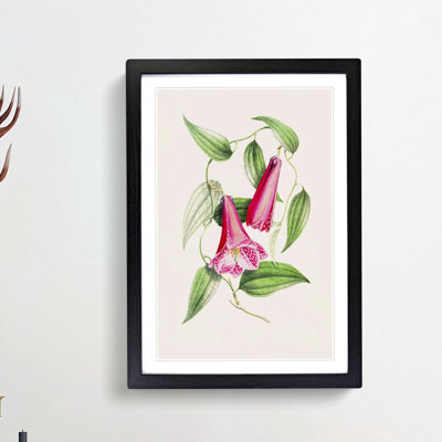 Illustration of Spotted Pink Flowers - Picture Frame Graphic Art Print