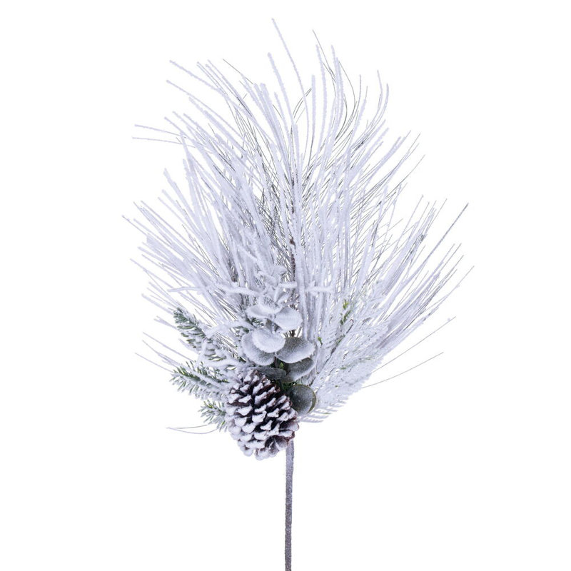 24 plantes