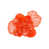 Corail