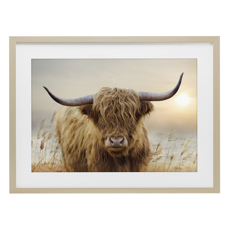 «Highland Cow & Warm Sunset», reproduction encadrée sous verre, conception de CAD Designs, H 17 po x l 23 po