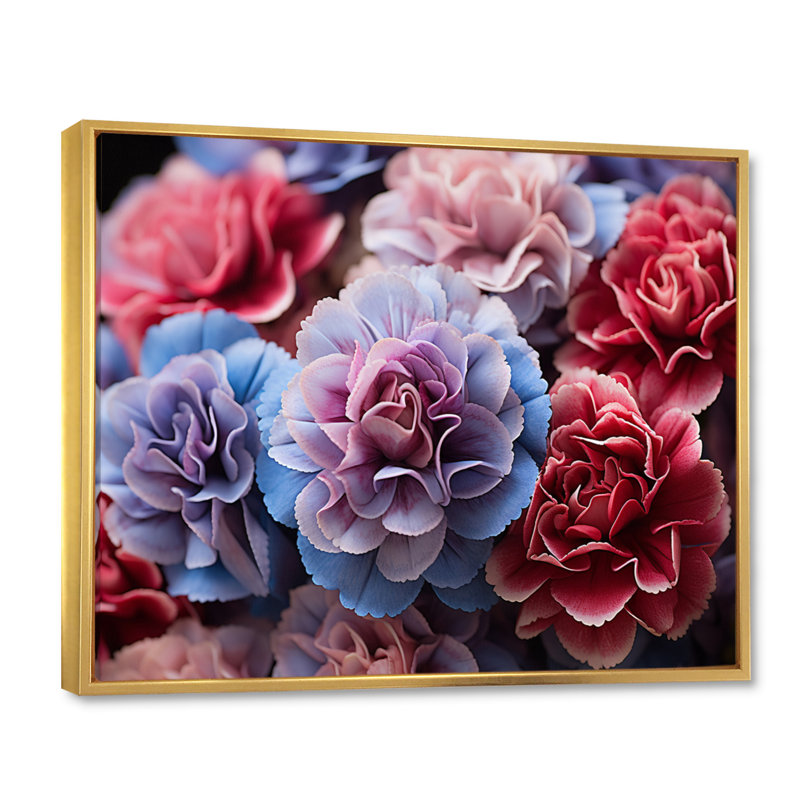 «Marcellas Carnations Field Vibrant III», reproduction sur toile, H 16 po x l 32 po, Cadre flottant doré