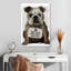 Bouledogue Brampt-108364613