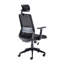 Hinton Polyester Blend Office Chair with Headrest