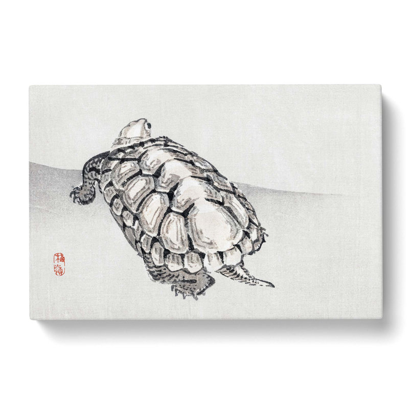 Turtle by Kono Bairei - Wrapped Canvas Painting Print, 40cm H x 60cm W x 3cm D