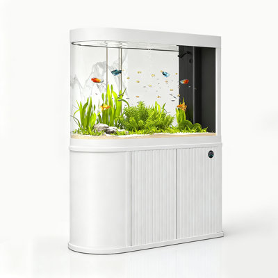 U-Shaped Bullet-Head Large Screen Aquariums Tank