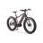 Rogue wave -- mountain ebike