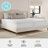 Martha Stewart SleepComplete Medium Support Dual-Action Green Tea Cooling Memory Foam Mattress-98630530