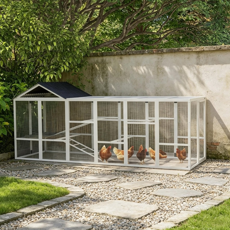 Poulailler en bois 141,75 po x 48 po x 61 po pour 6 à 10 poulets, poulailler avec rangement, perchoirs
