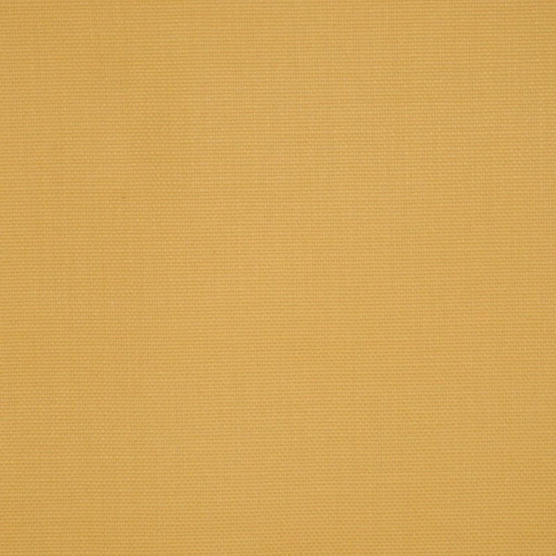 Shenanigans Fabric, Yolk