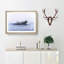 The Solheimasandur Plane Wreck in Iceland - Picture Frame Painting Print-55640170-55640173