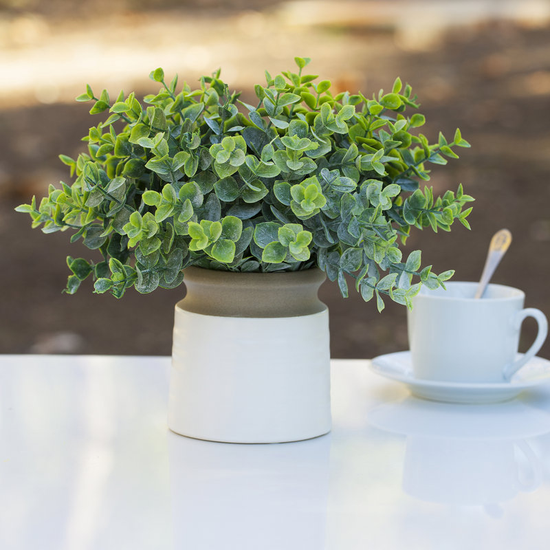 11'' Faux Eucalyptus Topiary in Ceramic Pot