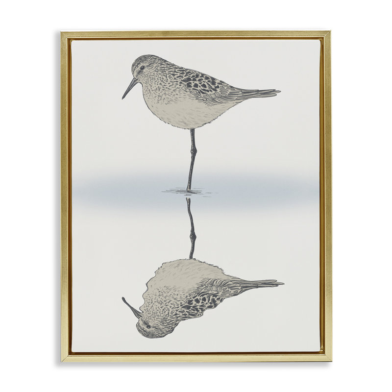 Oiseau bécasseau tranquille, H 21 po x l 17 po, Cadre flottant métallique doré