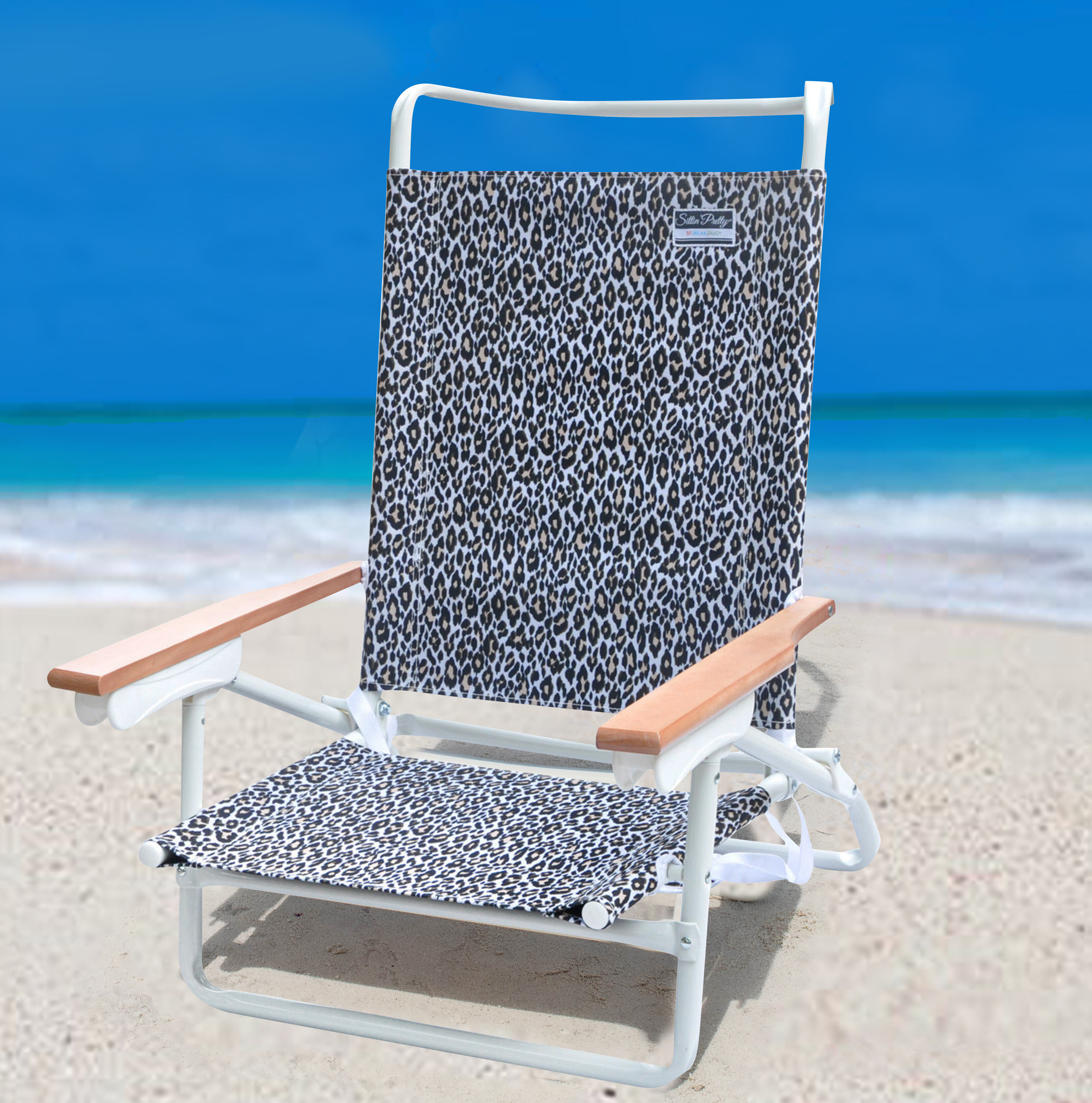 Bay Isle Home Demers Folding Beach Chair Reviews Wayfair