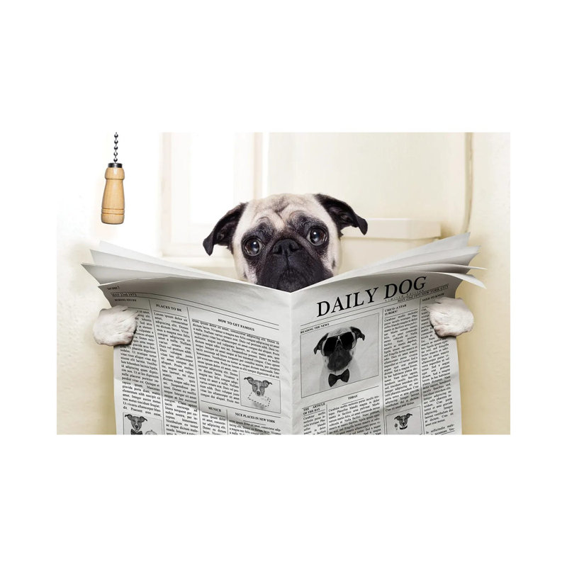 Dog Toilet by Unknown Artist - Wrapped Canvas Gallery-Wrapped Canvas Giclée, 20.32 cm H x 30.48 cm W