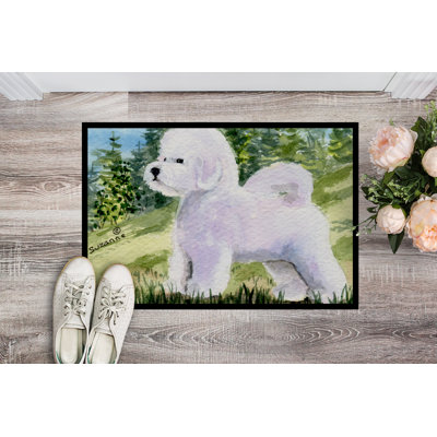 Non-Slip Indoor Doormat