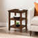 Morphew 24" Tall End Table with Storage