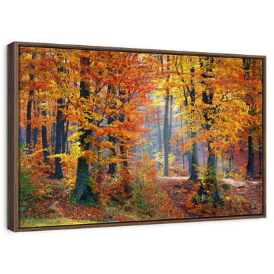 Arbres d'automne