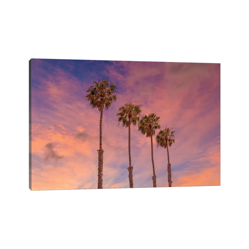 Palm Trees - Idyllic Sunset by Melanie Viola - Wrapped Canvas Print, 30.48cm H x 45.72cm W x 1.91cm D