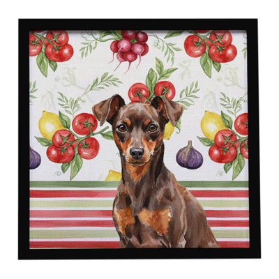 Chocolate and Rust Miniature Pinscher Min Pin Vegetables Framed Metal Print