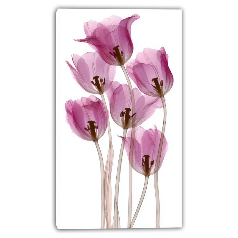 «Radiant Tulips», art mural sur toile botanique rose translucide, H 42 po x l 24 po