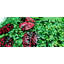 Plants & Flowers Wall Decor on Resin