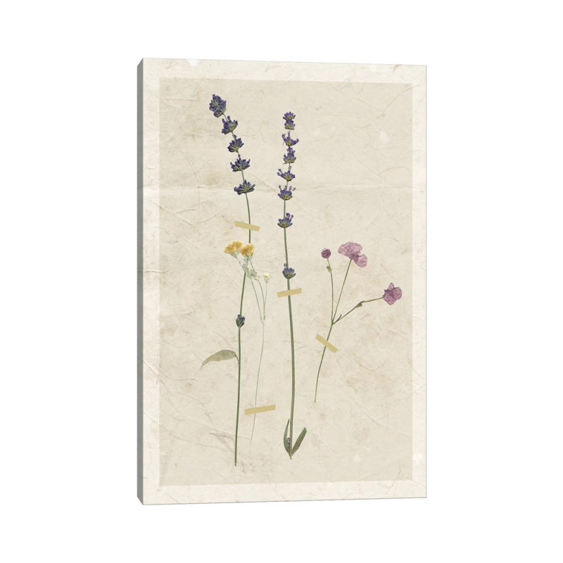 Pressed Lavender II 1 Piece Wrapped Canvas Painting, 20.32 cm H x 30.48 cm W
