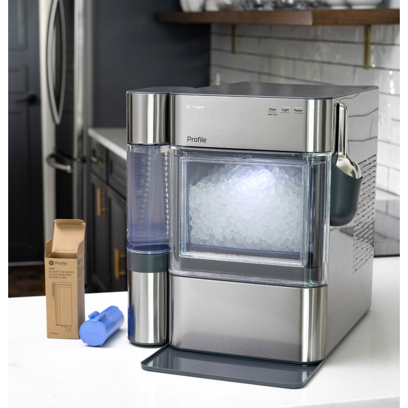 GE Profile Scale Inhibiting Filter