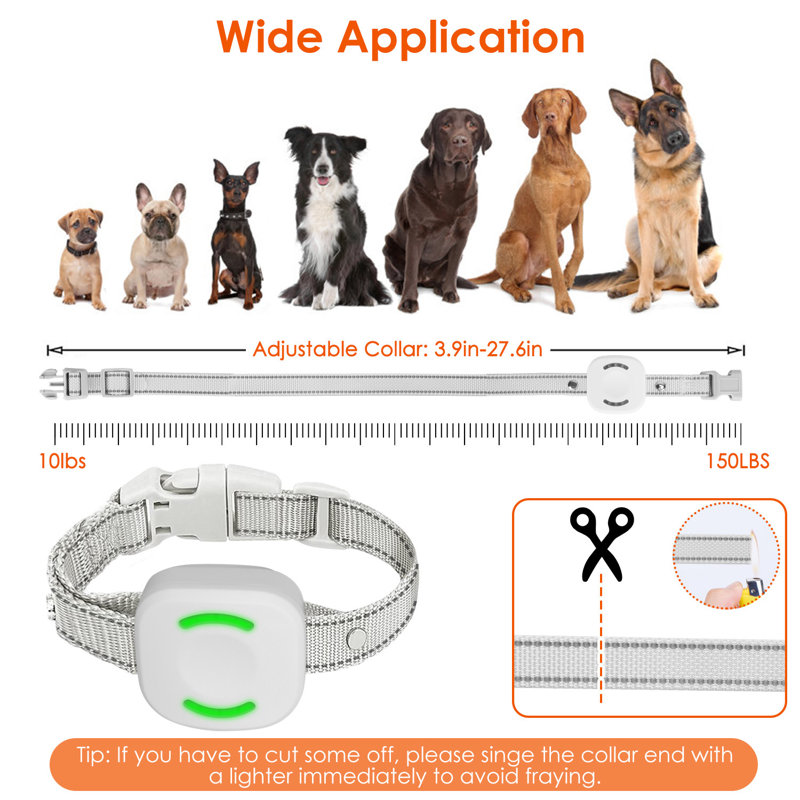 Dog Training Collar