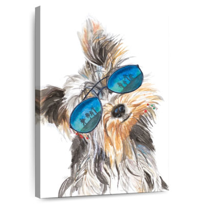 Brampt Yorkie With Shades