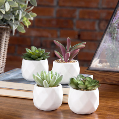 Ensemble de 4 plantes grasses artificielles en pot