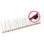 Tashania Stainless Steel Bird/Pigeon Spikes