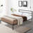 Caprial Metal Platform Bed-344058591