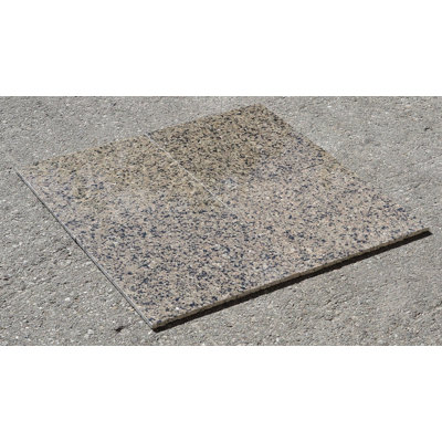 Carreau de mur et de sol en granite 12 po x 12 po