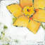 «Spring Has Sprung II» - Peinture-854138818-866700738-866700736