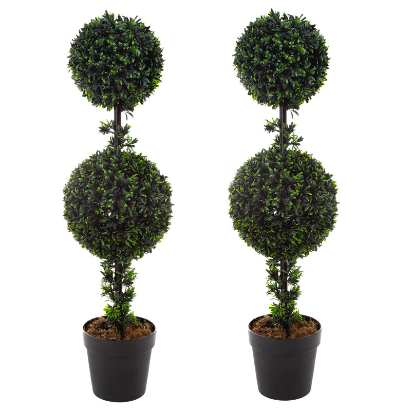 Primrue Set of Two 36-Inch Topiary Trees