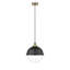 Luminaire suspendu simple à 1 lumière Laklyn-957710502-961554424-957710498