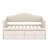 Elegant Sofa Bed Featuring Upholstered Button-Tufted Backrest and Hidden Trundle-750792858