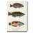 " Antique Fish Trio I "-409447069