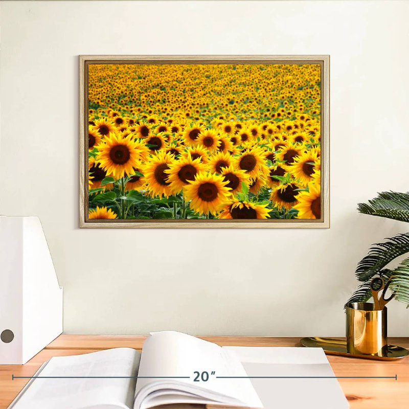 Champ de tournesols sans fin, Cadre flottant en bois naturel, 13 po x 9 po