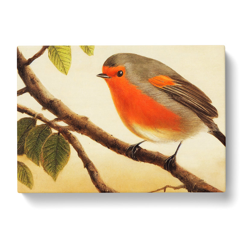 Contemporary Robin Bird - Wrapped Canvas, 50cm H x 76cm W x 3cm D