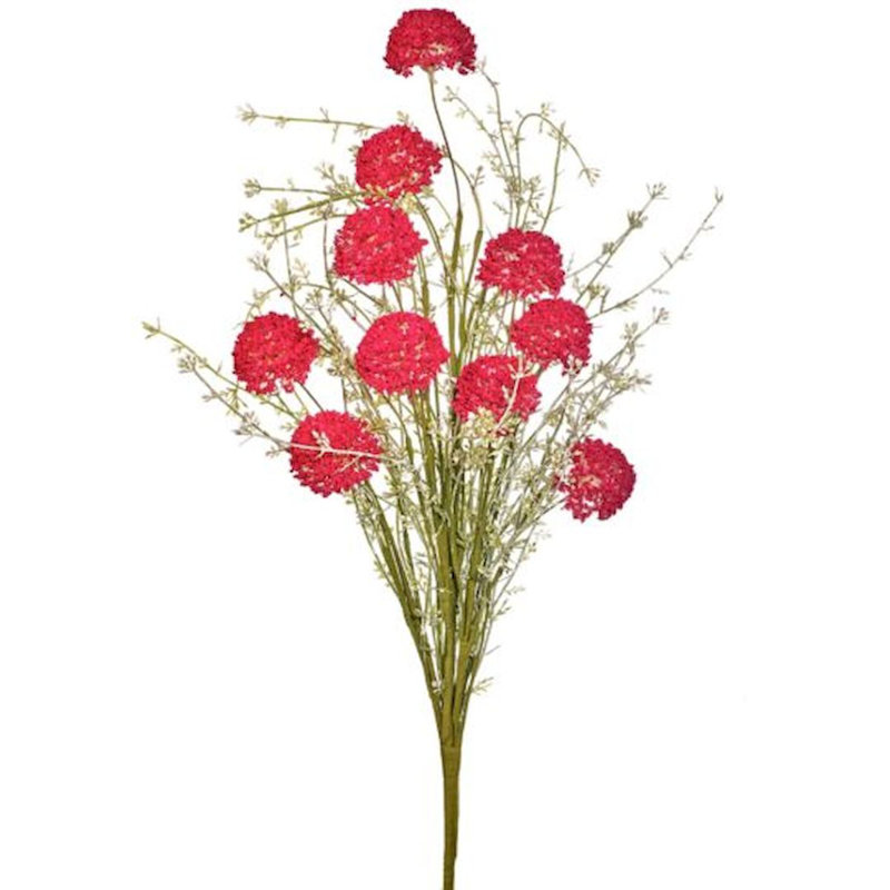 Tige de buisson Wild Allium, Rose vif