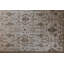 Oriental Hand-Knotted Wool Beige/Ivory Area Rug